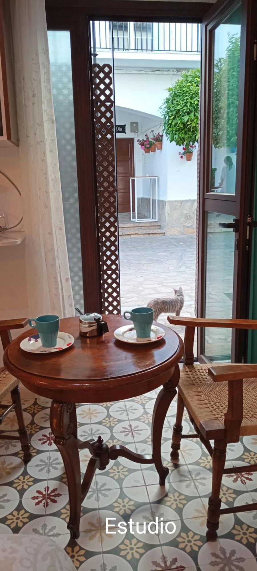 El Detalle Apartamento Y Estudio Zahara De La Sierra Exteriér fotografie